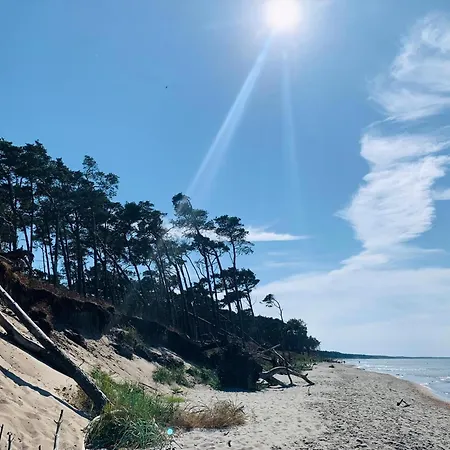 Reetgedecktes 50 Metern Von Der Ostsee