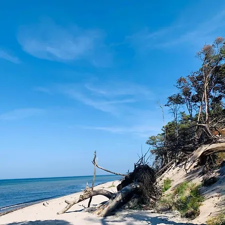 Reetgedecktes 50 Metern Von Der Ostsee Apartment Dierhagen