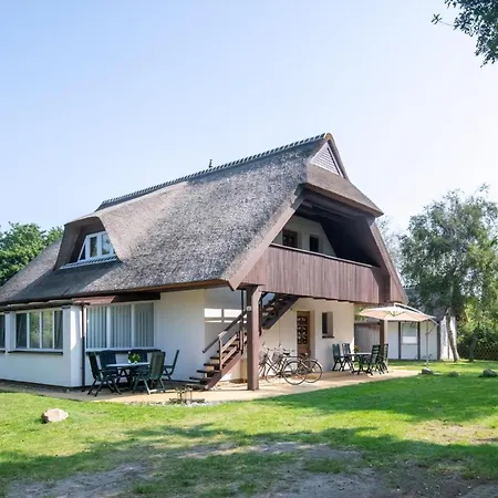 Reetgedecktes 50 Metern Von Der Ostsee *